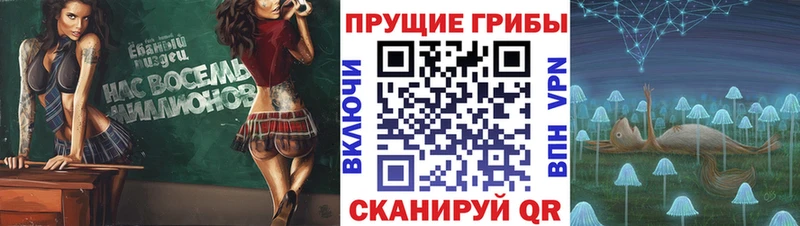Псилоцибиновые грибы ЛСД  наркотики  Прохладный 