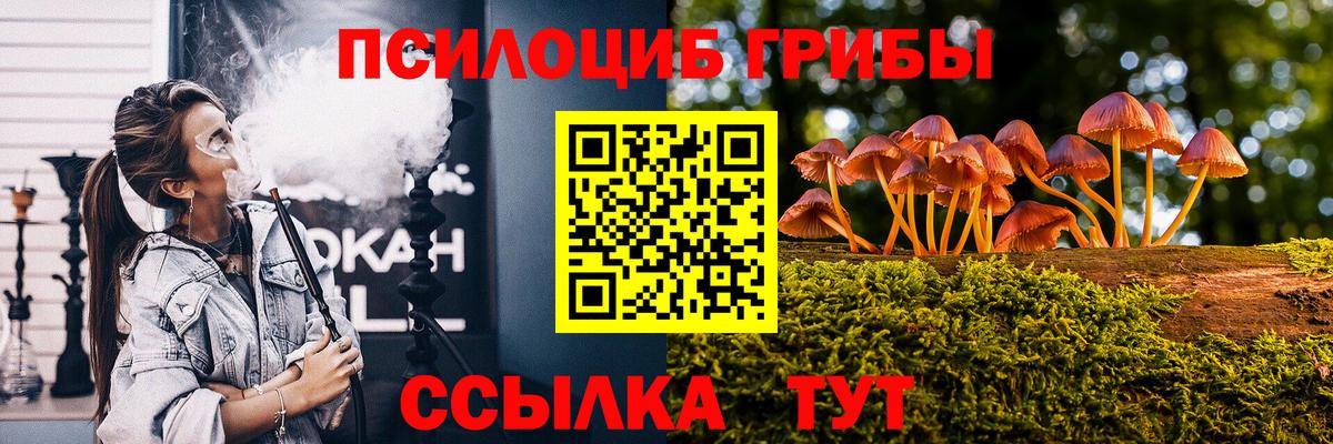 дарнет шоп  Прохладный  Галлюциногенные грибы Psilocybe 
