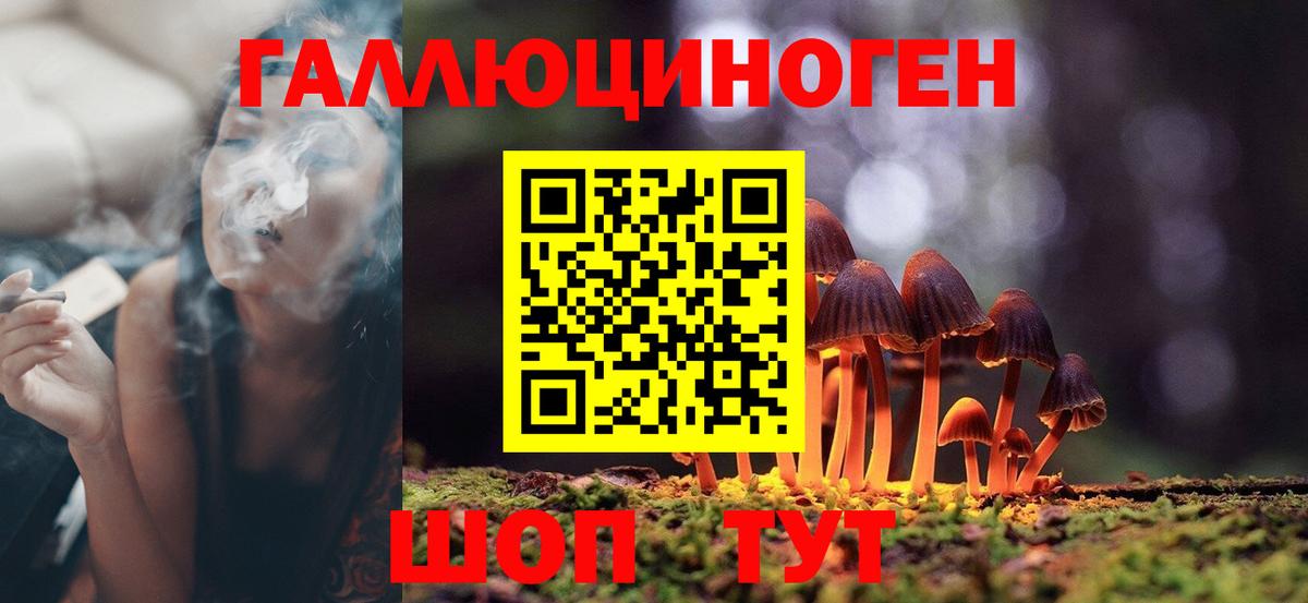 Галлюциногенные грибы Psilocybine cubensis  дарнет шоп  Прохладный  Вход с VPN 
